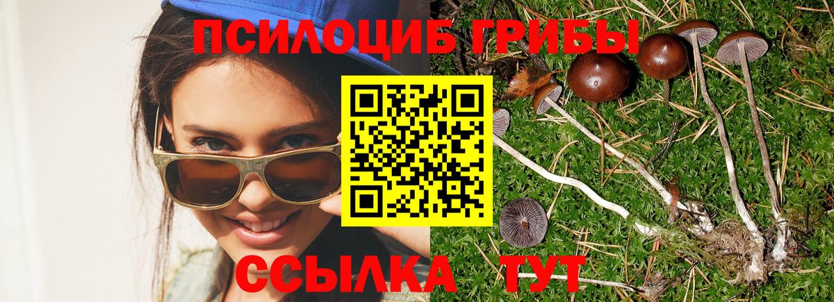 Галлюциногенные грибы ЛСД  Вход с VPN  Воскресенск 